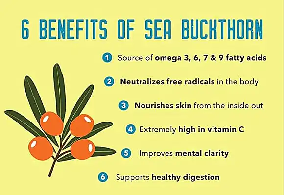 Sea buckthorn powder benefits.png